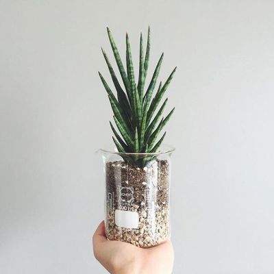 风云体育app下载安装苹果