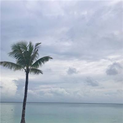 BOB体育最新版本下载