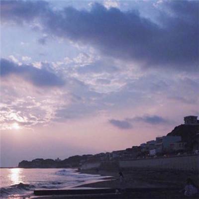 波胆app官网下载手机版截图